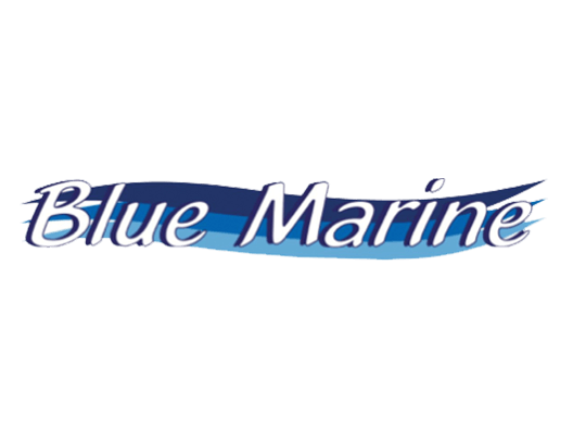 Logo Blue Marine Pulizia Barca